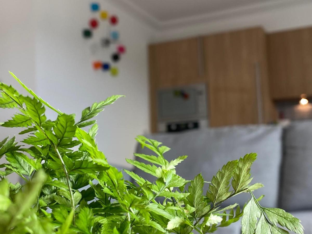 The Duplex Nairn- Spacious 3 Bedroom With Sunny Balcony エクステリア 写真